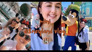 Mini Disneyland Vlog  1st vlog [upl. by Wisnicki]