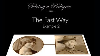 Solving a Pedigree  the Fast Way example 2 [upl. by Ladnek]