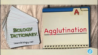 Agglutination  Biology Dictionary  Spoken Biology Definitions [upl. by Aynotak]