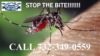 Expert Mosquito Control Services Brielle NJ 7323490559 Ozanecom [upl. by Laban]