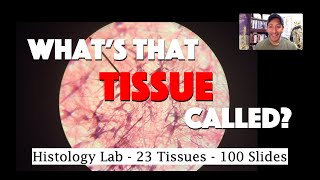 Histology Lab Demonstration 100 Microscopic Slides of 23 Tissues [upl. by Costanzia]