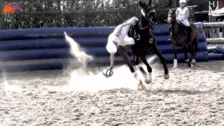 HorseBall  The most impressive equestrian sport [upl. by Aicenek688]