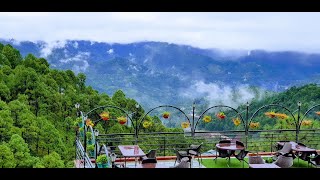 Kasauli Trip  Winnies Holiday Resort Review  Amazing Experience [upl. by Nollaf]