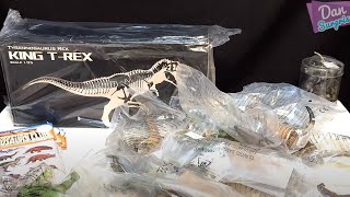 Unboxing lots of new Dinosaurs [upl. by Kloster]