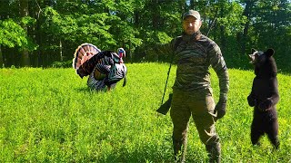 Pennsylvania Public Land TRUTHS revealed [upl. by Rior277]