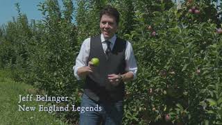 New England Legends S2 E3 Trailer The Tree That Ate Roger Williams [upl. by Hermie956]