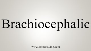 How To Say Brachiocephalic [upl. by Eliathan]