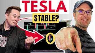 Tesla Stock  Stable [upl. by Brunn]