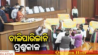 Odisha Assembly Winter session day 2 Question Hour canceled  KalingaTV [upl. by Nnayllek]