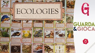 Tutorial ECOLOGIES – Il gioco di CARTE per costruire RETI ALIMENTARI  GuardaampGioca 12 [upl. by Ynaitirb603]