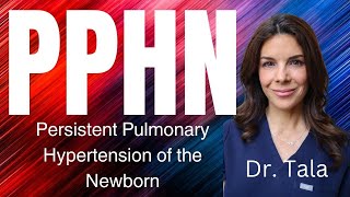 Doctor Explains Persistent Pulmonary Hypertension of the Neonate [upl. by Hayott]