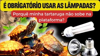 É obrigatório usar as lâmpadas Porquê minha tartaruga não sobe para plataforma [upl. by Cowie]