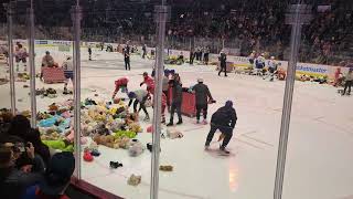 Teddy bear toss at Abbotsford Canucks game 2023 [upl. by Boys]