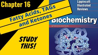 Lippincotts Biochemistry Review Chapter 16 Fatty Acids TAG and Ketones  Study This [upl. by Darian]