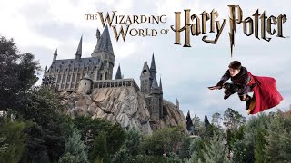 The Wizarding World of Harry Potter  Christmas Show harrypotter hogwarts christmas [upl. by Amikahs]