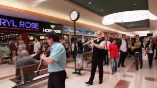 Flashmob symphonique  Centre commercial Auchan Noyelles [upl. by Sheply]