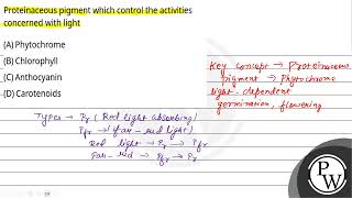 Proteinaceous pigment which control the activities concerned with light [upl. by Hovey]