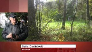 Sasa Dimitrijevic dopisnik iz Norveske za TV NTV fono izvestaj iz Oslapripremila M Vidojkovic 07 10 2011 [upl. by Eatnom]