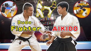 Former UFC Fighter experience the Aikido Master techniques The last is sparring training [upl. by Ballou958]