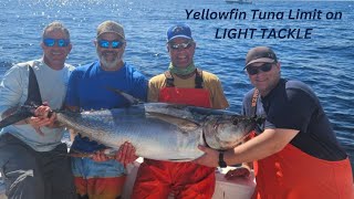 Yellowfin Tuna LIMIT on LIGHT TACKLE [upl. by Christie]