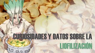 ¿Cómo se LIOFILIZAN los alimentos  Explicado en 7 minutos 🥡🏭✅ [upl. by Retsam]