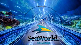 Top Things to Do at SeaWorld Orlando You Can’t Miss [upl. by Elliven]