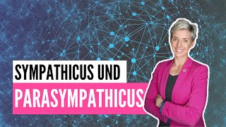 Sympathicus und Parasympathicus Das ist der Unterschied [upl. by Hi330]