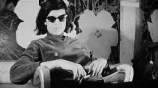 Regarding Susan Sontag Trailer [upl. by Bluefarb]