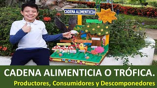 🌿🦁 Cadena alimenticia o trófica 🦐🍃 Productores consumidores y descomponedores  Maqueta [upl. by Airdnaxila]