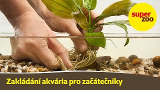 13 díl Zakládání akvária  Škola Super zoo [upl. by Halas]