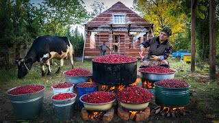 Preserving Flavor Making Delicious Dogwood Paste [upl. by Tyler]