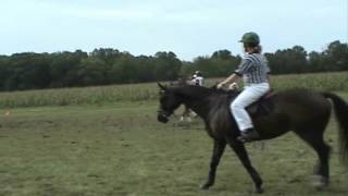 Polocrosse Game Bucks County Pennsylvania Warbucks vs Carolinas Sunday horse [upl. by Bomke]