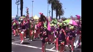 quotShoprite Hanover Park Pennsylvaniansquot Cape Town Carnival Minstrels January 2015 Kaapse Klopse [upl. by Yoho778]