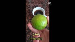 Great Technique Propagate Lemon Tree From Cuttings with Coca Cola bottle shorts [upl. by Nallad]