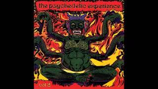 Various ‎– The Psychedelic Experience Vol 2  60s Rare Garage Rock Punk Bands Music Compilation [upl. by Smalley914]