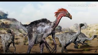 What is the truth about the Oviraptor [upl. by Kendre]