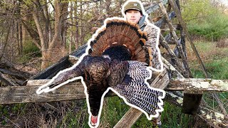 Big Timber Turkey Hunt Right off the ROOST [upl. by Darrel]