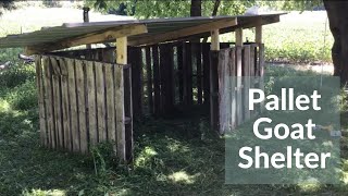 DIY Pallet Goat Shelter [upl. by Ordway511]