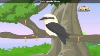 Kookaburra with Lyrics  Nursery Rhyme [upl. by Lazarus]