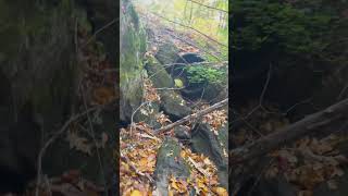 We found a new storm drain exciting tunnel exercise abandonedplaces twotunnels [upl. by Melanie218]