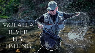 WILD day on Oregons Molalla River MidSummer Fly Fishing 2023 [upl. by Yenor205]