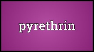 Pyrethrin Meaning [upl. by Gareth]