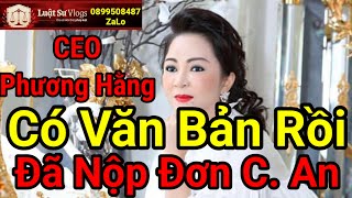 🔴 Ceo Nguyễn Phương Hằng Xuất Hiện Livestream Có Công Bố Nội Dung Đơn Tố Cáo Không  Luật Sư Vlogs [upl. by Eilrebmik706]