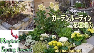 【ガーデンルーティン】冬こそ1年草で華やかに❕花壇編②🌼Replant Flowerbeds to spring flowers🌷 [upl. by Annahgiel]