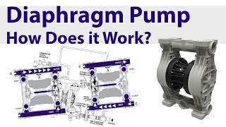 How does a Diaphragm Pump work [upl. by Beltran223]