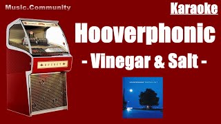 Karaoke  Hooverphonic  Vinegar amp Salt [upl. by Zehcnas110]