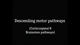 Descending motor pathways  Corticospinal and Brainstem pathways [upl. by Igal]