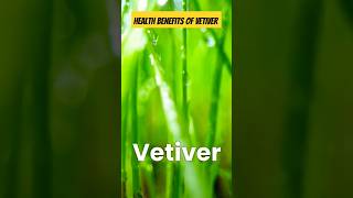 Vetiver and its health benefits healthyfood short shorts [upl. by Derby543]