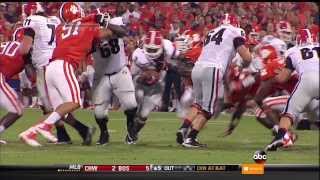 Clemson Vs Georgia FULL GAME HD 2013 [upl. by Herodias]