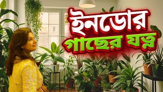 Indoor Plants Care TIPs  Low Light Houseplant  ইনডোর প্ল্যান্টের যত্ন  Bangla Vlog [upl. by Belayneh705]